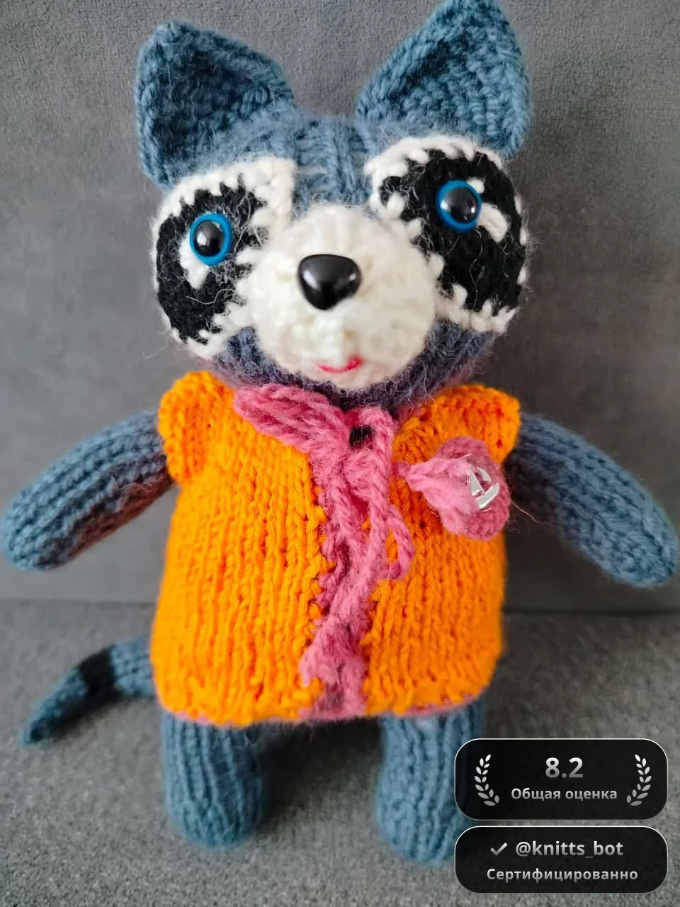 Енот в Жилете 🦝