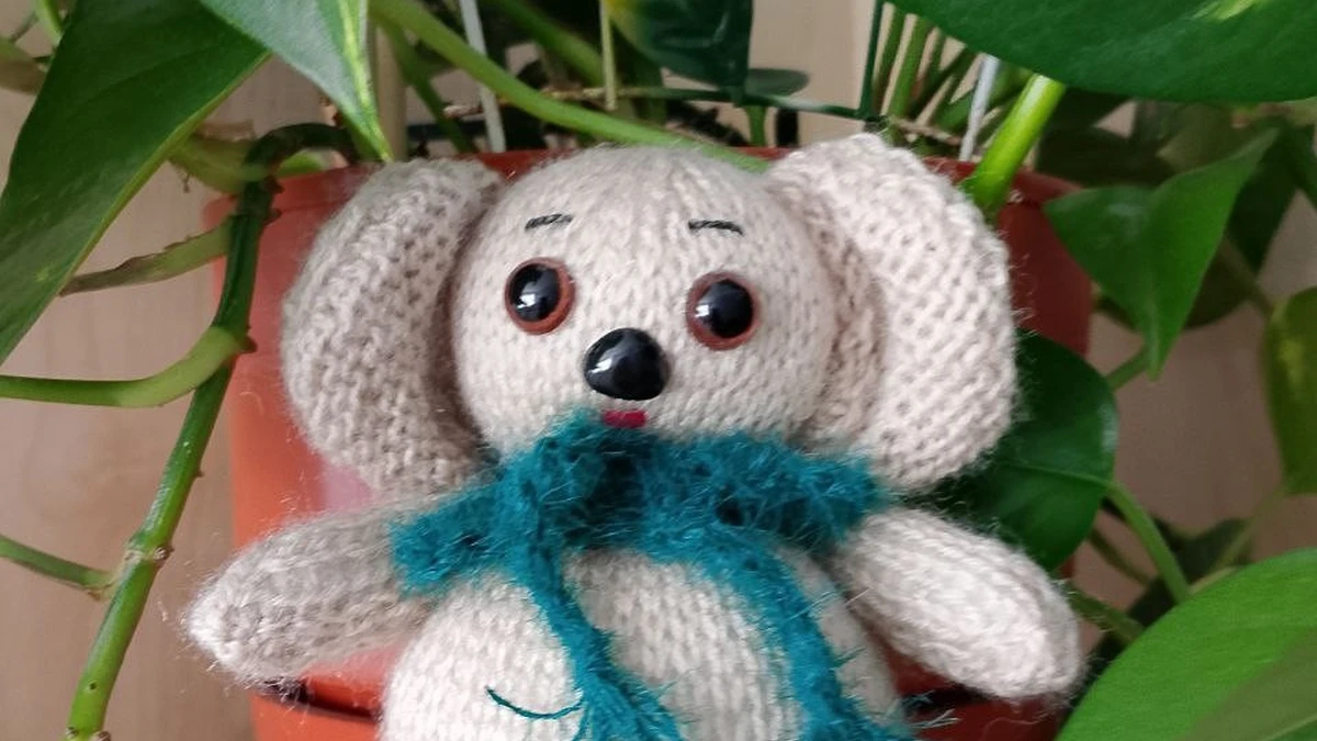 Коала в шарфике 🐨