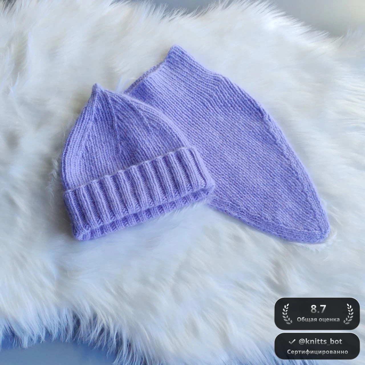 Лавандовый Котик 🐾