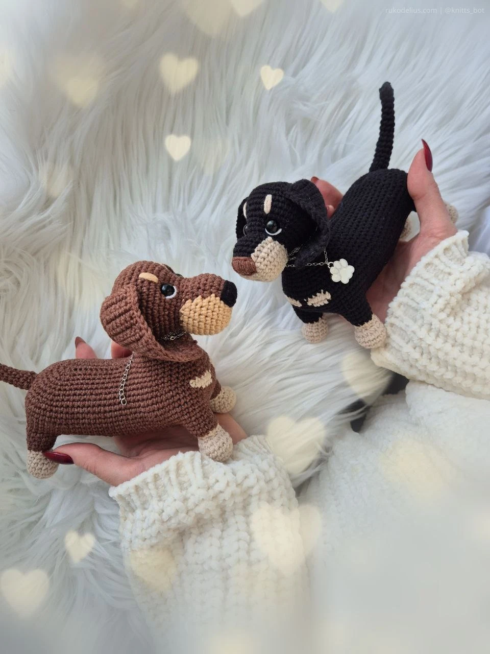 Таксы-обнимашки 🐶